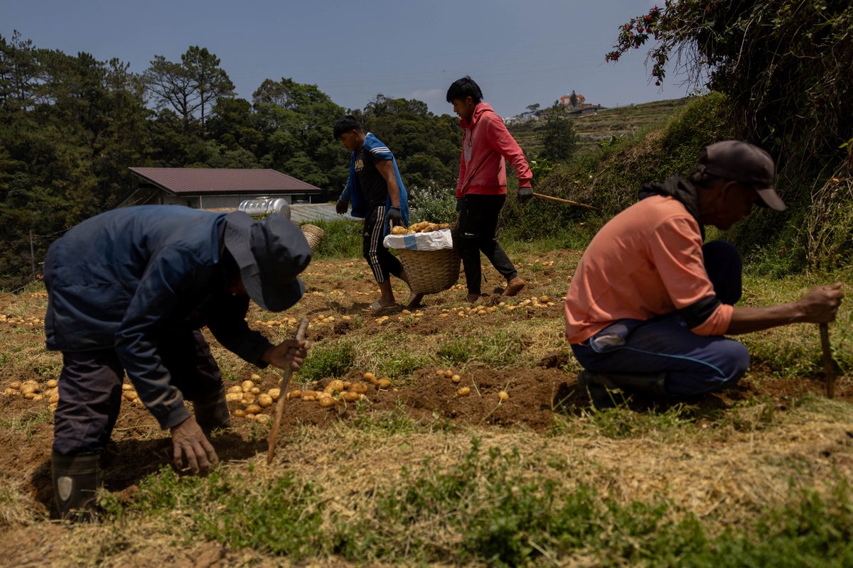 GMA News tweet media