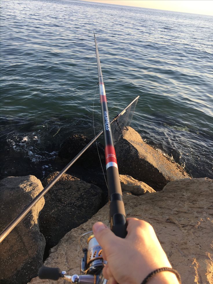 Dedendut 🧃🥬 tweet media