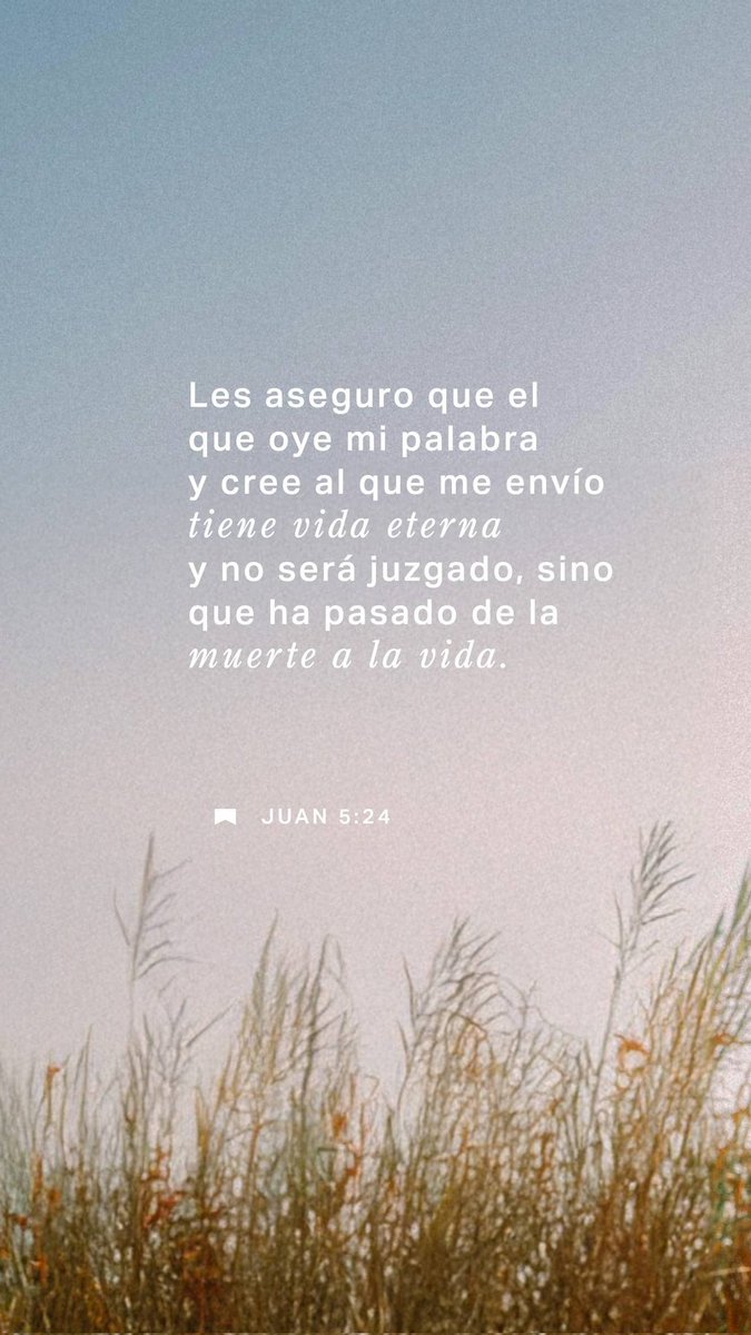 Luis Antonio Barreto tweet media