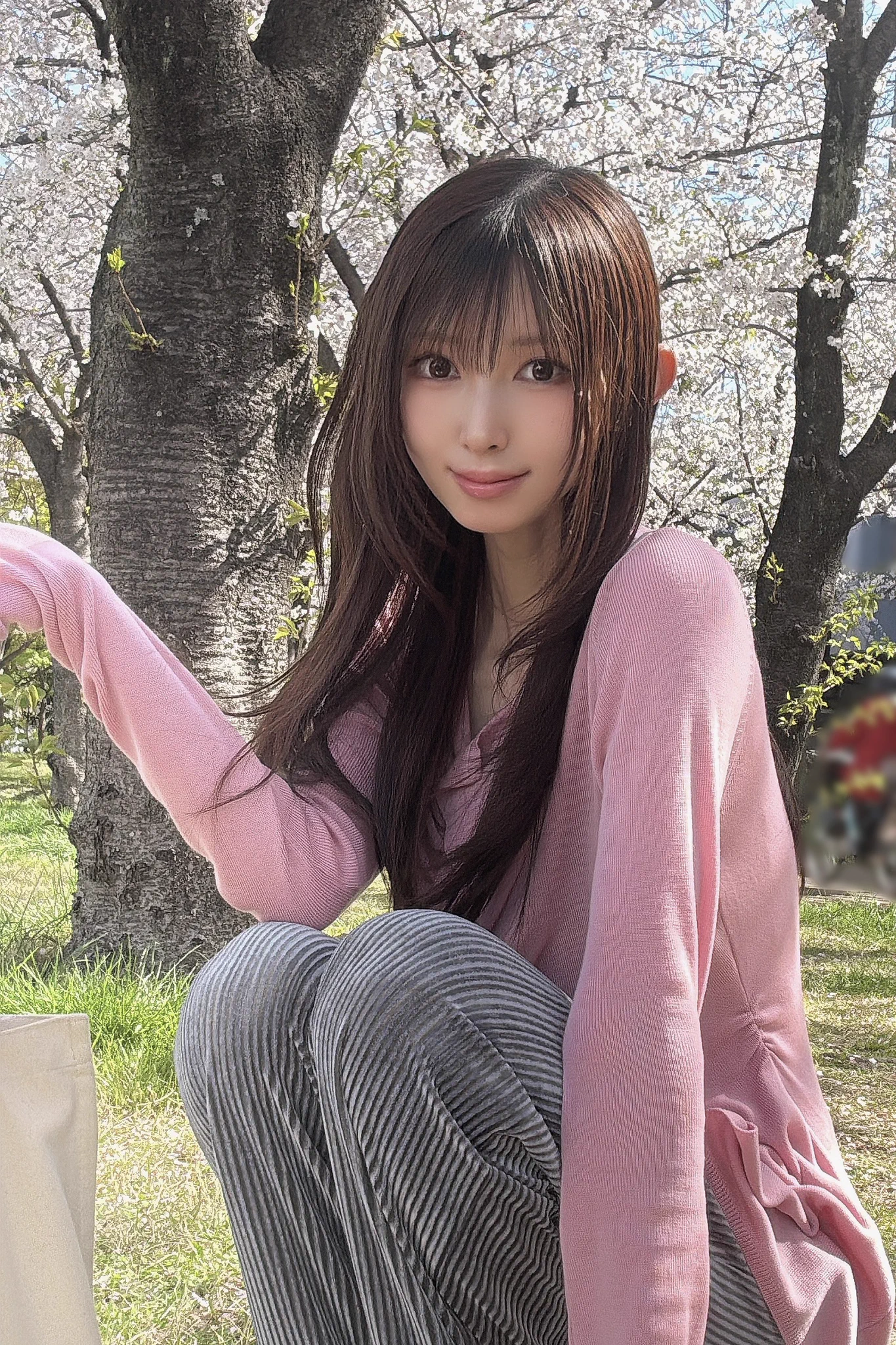 散りゆく桜の美しさを惜しむX投稿が広がる