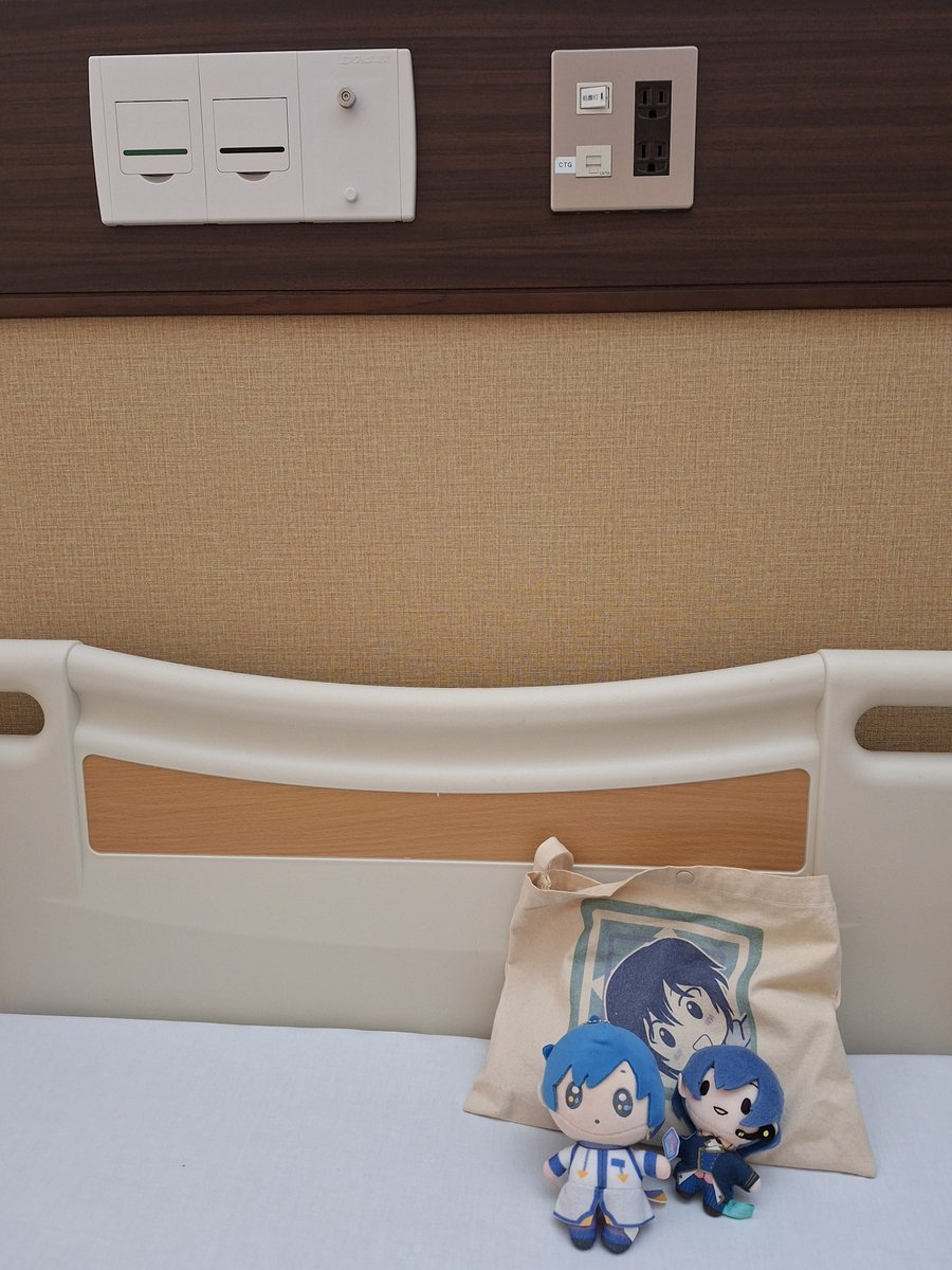 law_cha_slime's tweet photo. あ
再び入院＆手術
で、無事に退院しております(￣▽￣;)
20日まではシャワーのみで入浴禁止なんだよおおぉ
寒いて:(_;´꒳`;):_ https://t.co/S9xwRJL0M7