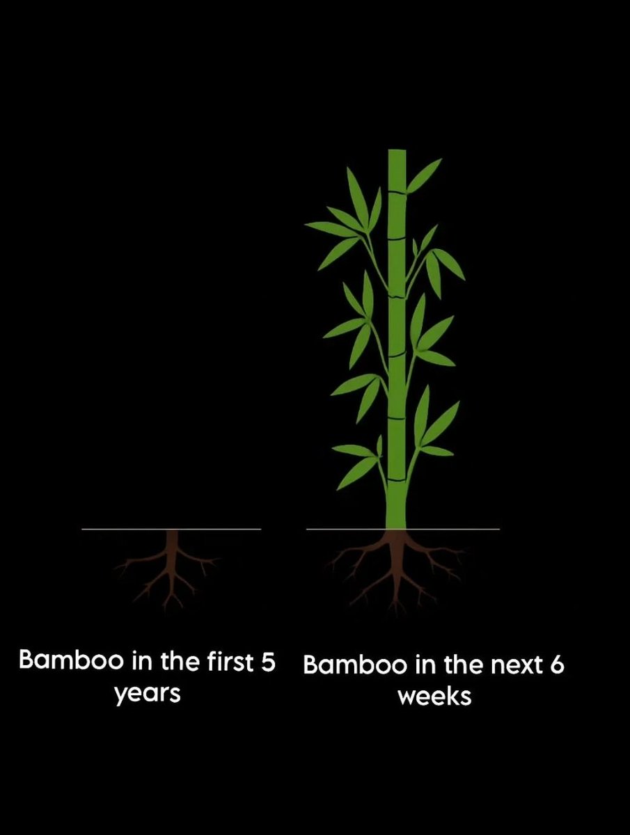 Financial Trader 📊 tweet media