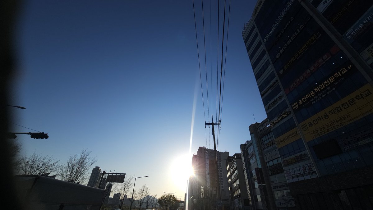 🐳Trail Runner Choi🐳 tweet media