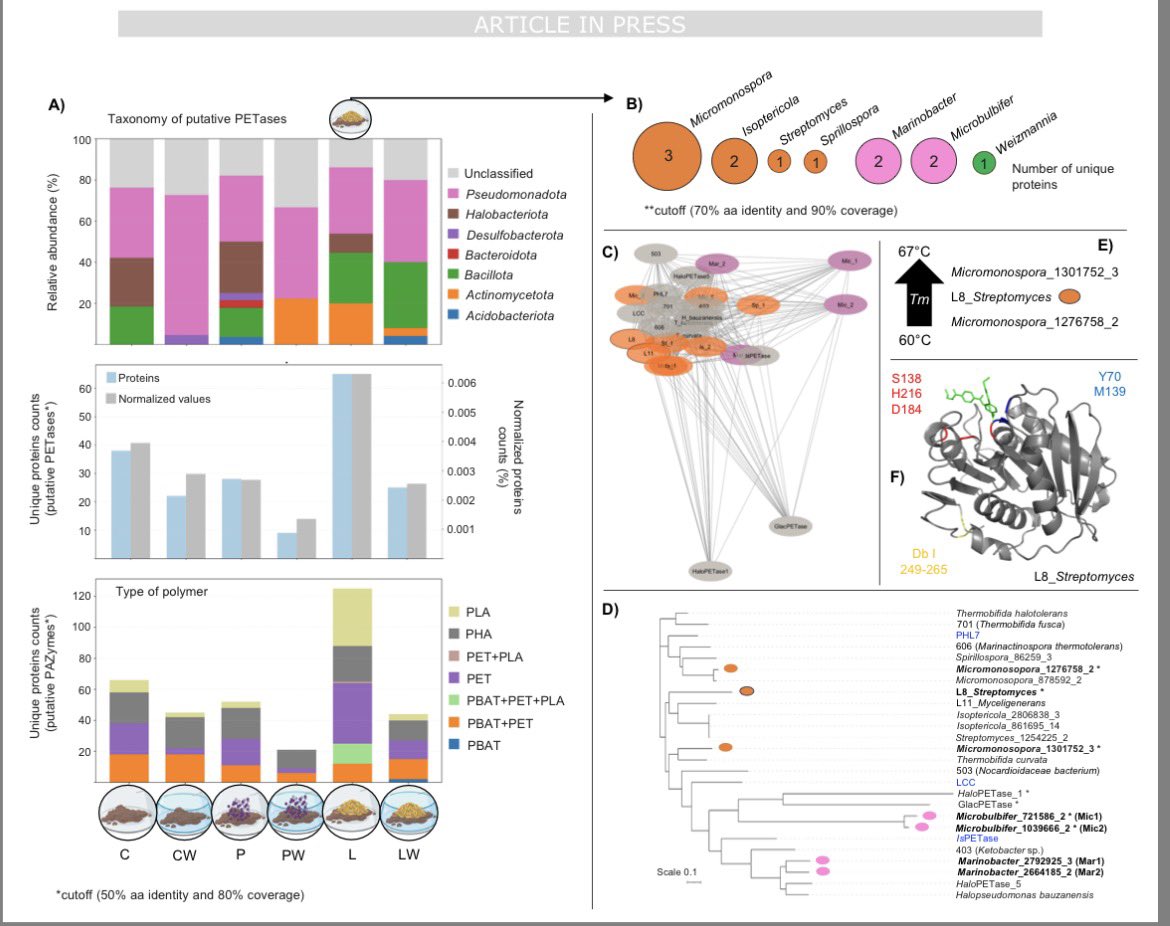 Jimenez_ADJ's tweet image. Proud of this big scientific achievement. Our article is published in @NatureComms

doi.org/10.1038/s41467…

 #mangroves #microbialecology #plasticdegradation @KAUST_BESE @CienBiolAndes