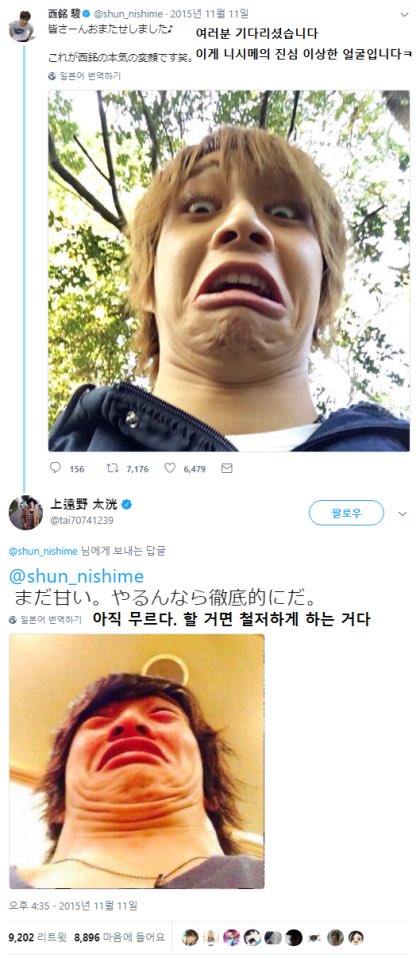 감귤익스피리언스 tweet media