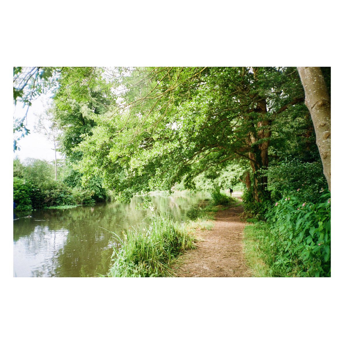 nickdemarco_'s tweet image. By the River
Jenoptik JC15 AF. Kodak Gold, July 2024

No.13 in my compact  35mm point &amp;amp; shoot film project - the elusive German Jenoptik, made by the old GDR Zeiss Jena co.

From my blog review here: rangefinderchronicles.blogspot.com/2025/12/the-co…

#filmphotography #jena #compactcamera