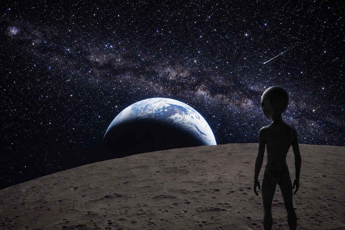 Action 💬 tweet media