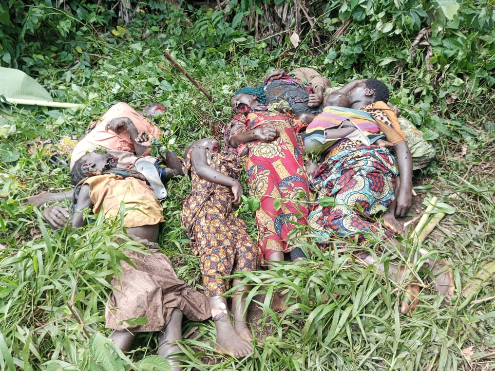 CVAR-ONGDH tweet media