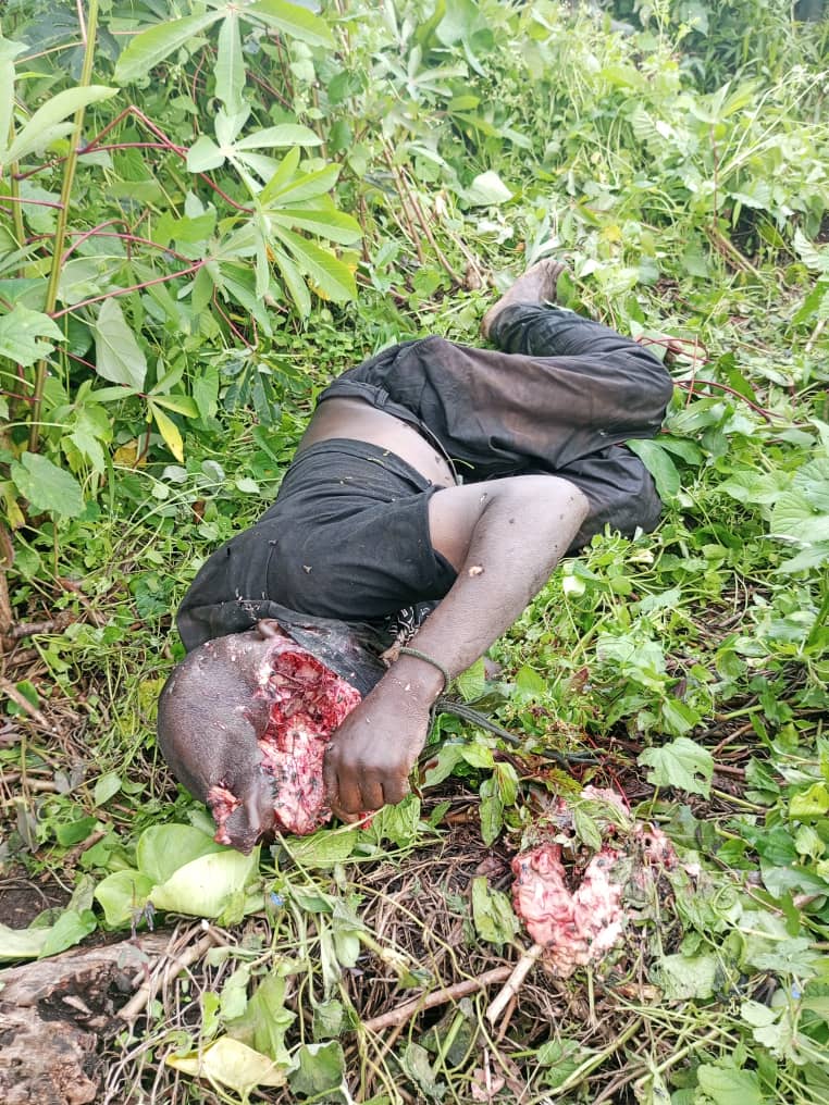 CVAR-ONGDH tweet media