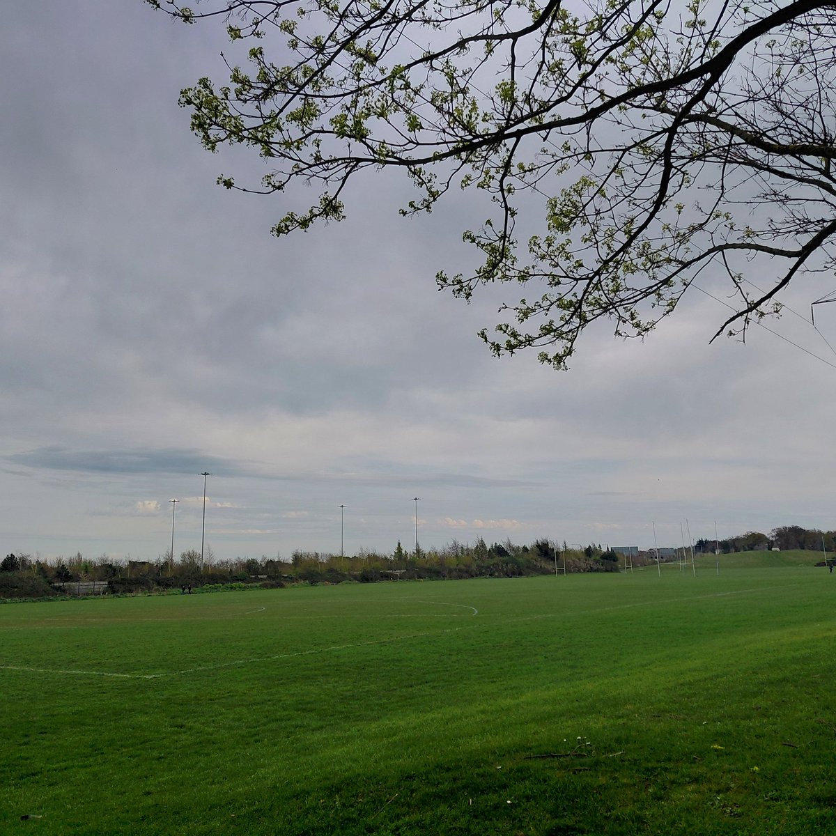 ZoeMillerAuthor's tweet image. Today's calming headspace 
#100daysofwalking #round6crew