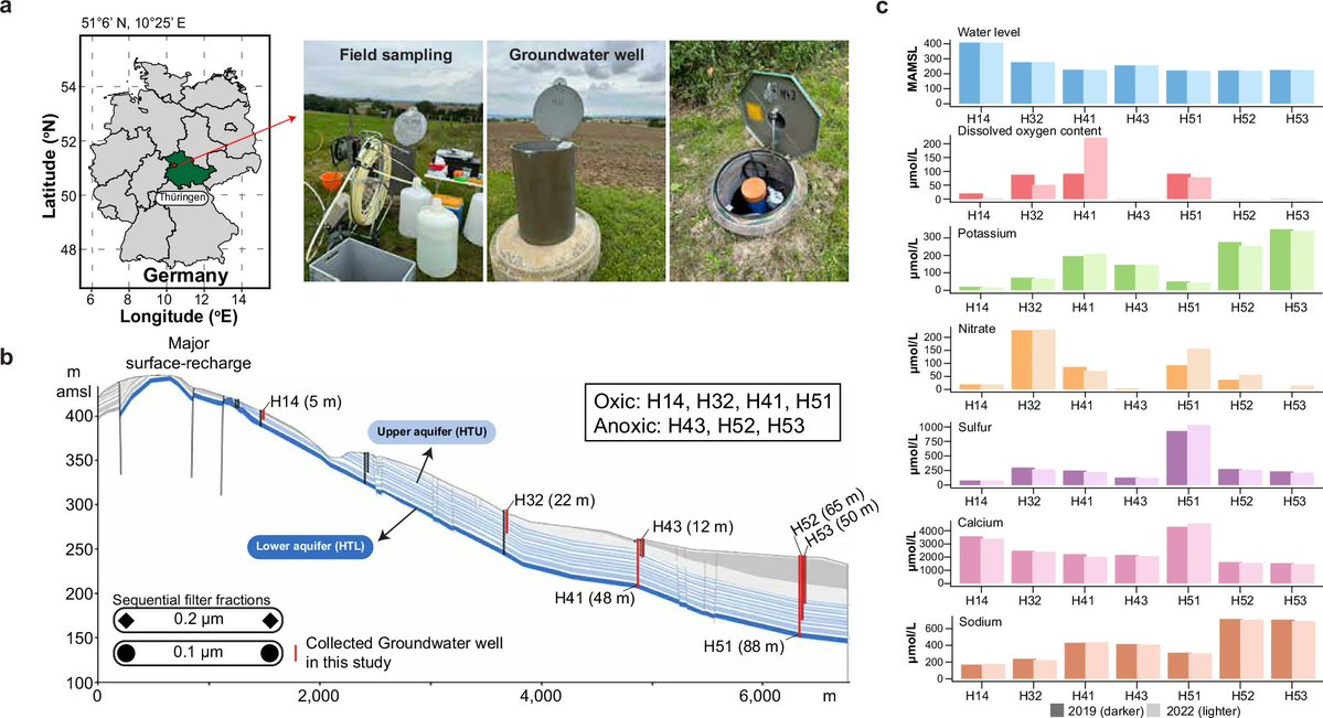 protasov_evgeni's tweet image. Diversity and ecological roles of hidden viral players in groundwater microbiomes
#microbiology #microbiome #groundwater
@NatureComms 
doi.org/10.1038/s41467…