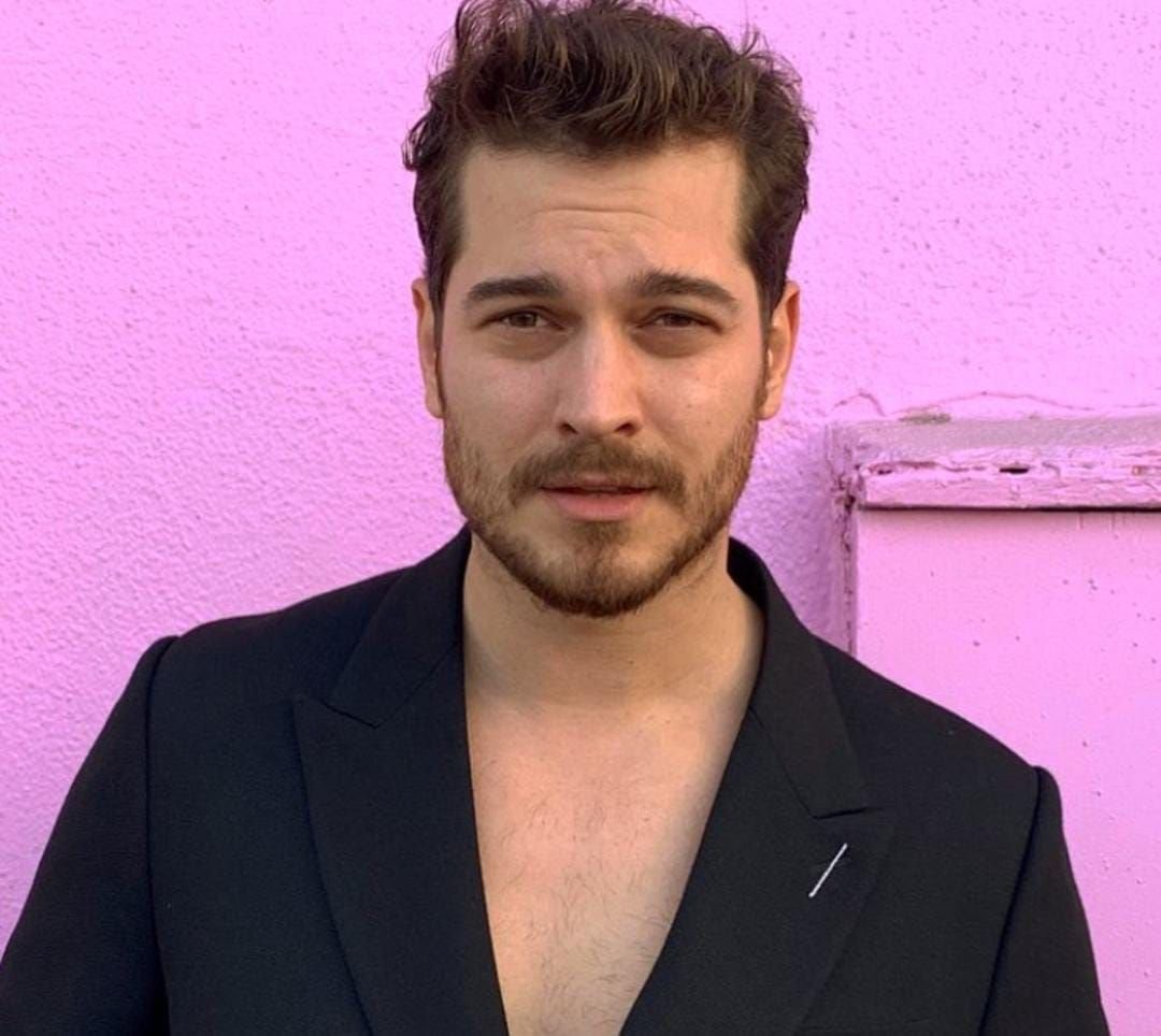 Bee Haber tweet media