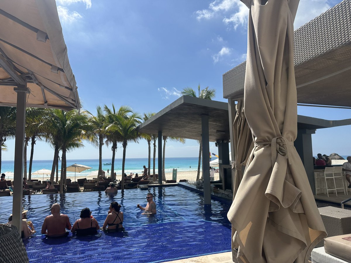 ₿it₿ull 𓃵 tweet media