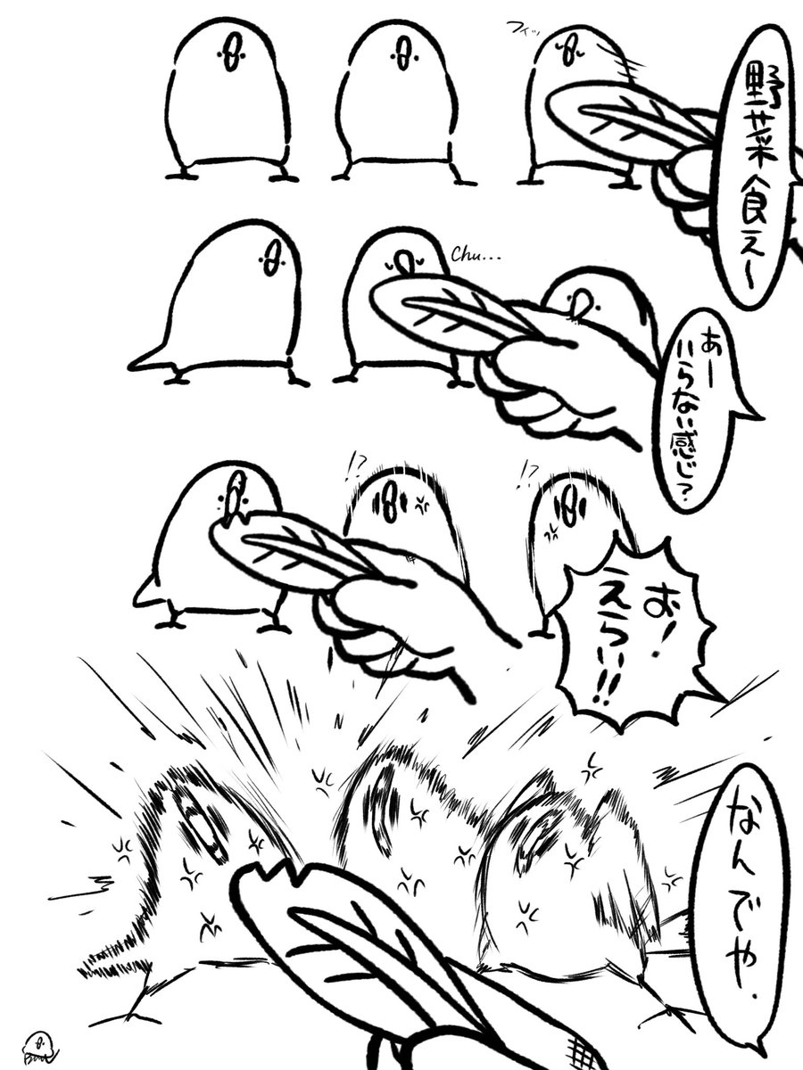 ぼぉんぶんち tweet media