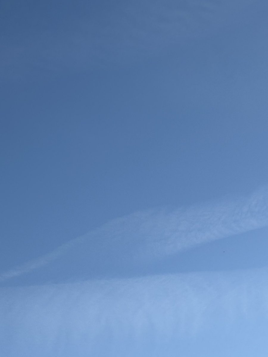 technicalsupport95 tweet media