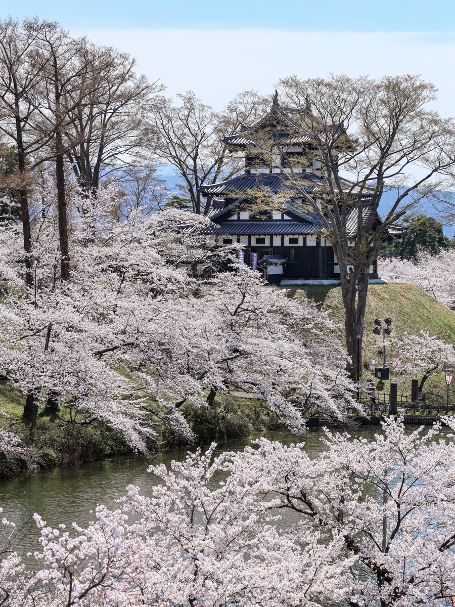 hoshino_ondo tweet media