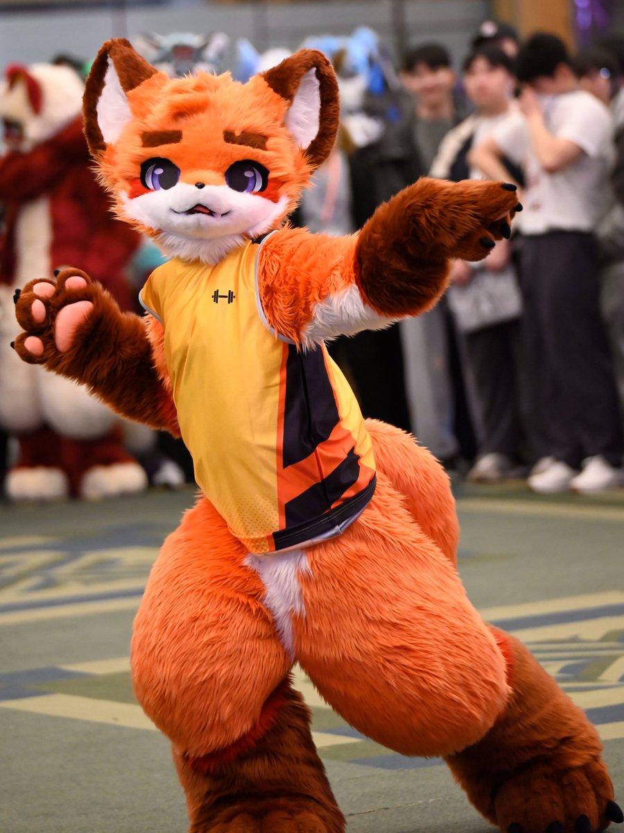 리무리(リムリ)➡️furstclass tweet media