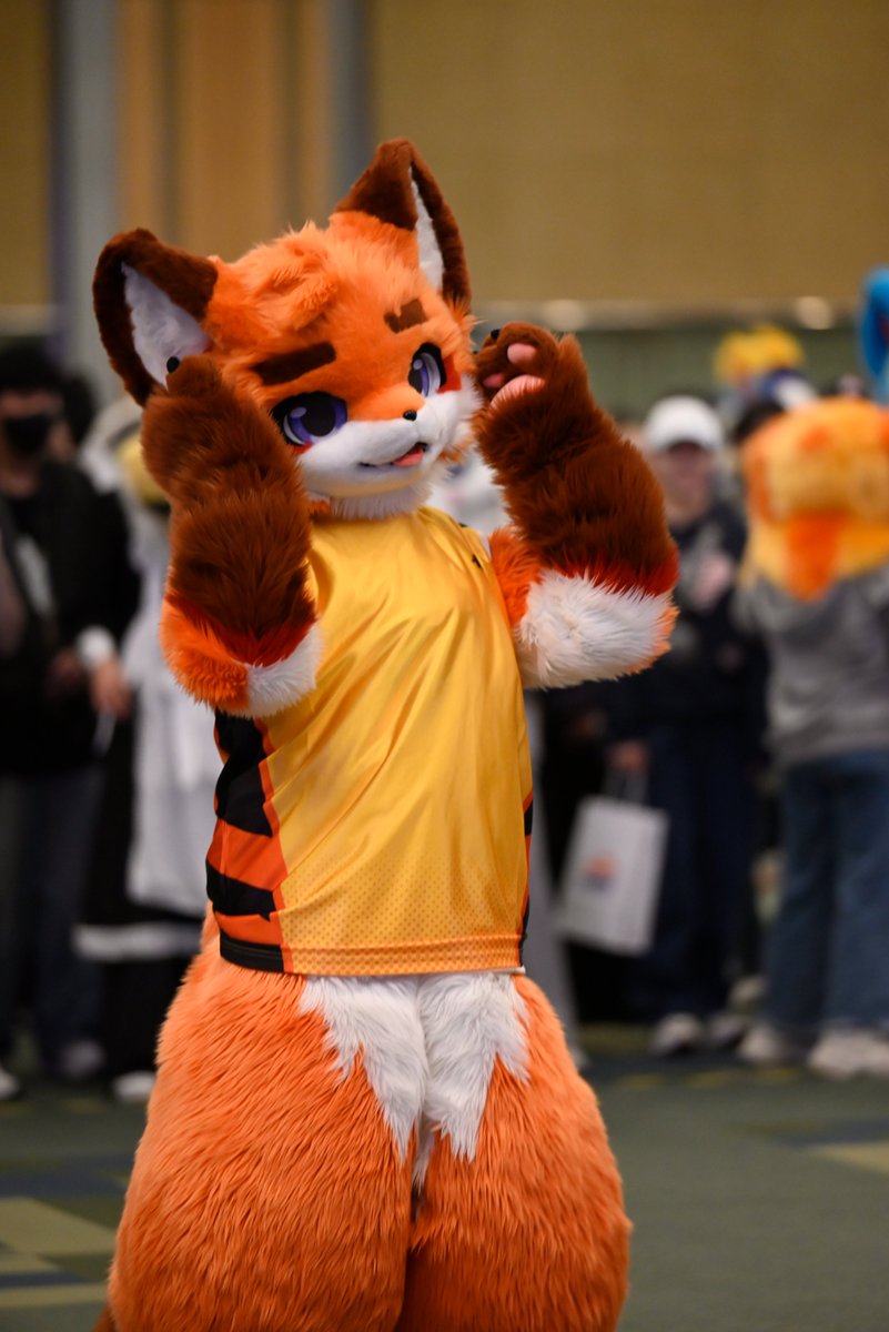 리무리(リムリ)➡️furstclass tweet media