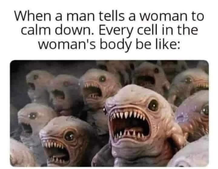 Notorious T.I.A 🐶🐱🐶🌈🏳️‍🌈🧩 tweet media