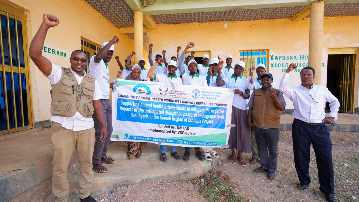 FAOEthiopia's tweet photo. Refresher trainings strengthen Community Animal Health Workers - #CAHWs & local veterinarians to detect & respond quickly to livestock diseases in drought‑affected areas.
In Somali Region, @FAO supports #CAHWs work to safeguard livestock‑based livelihoods.
@BelgiumMFA
#VSFSwiss https://t.co/VPbj9UVEpi
