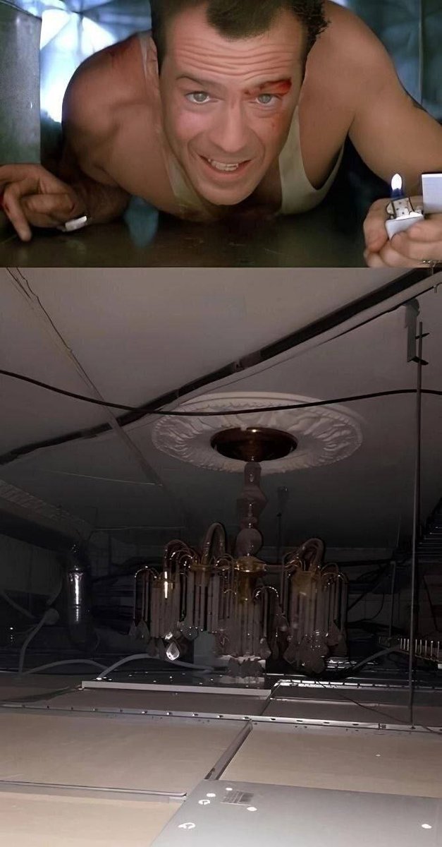 Рыжая 3,14сечка tweet media