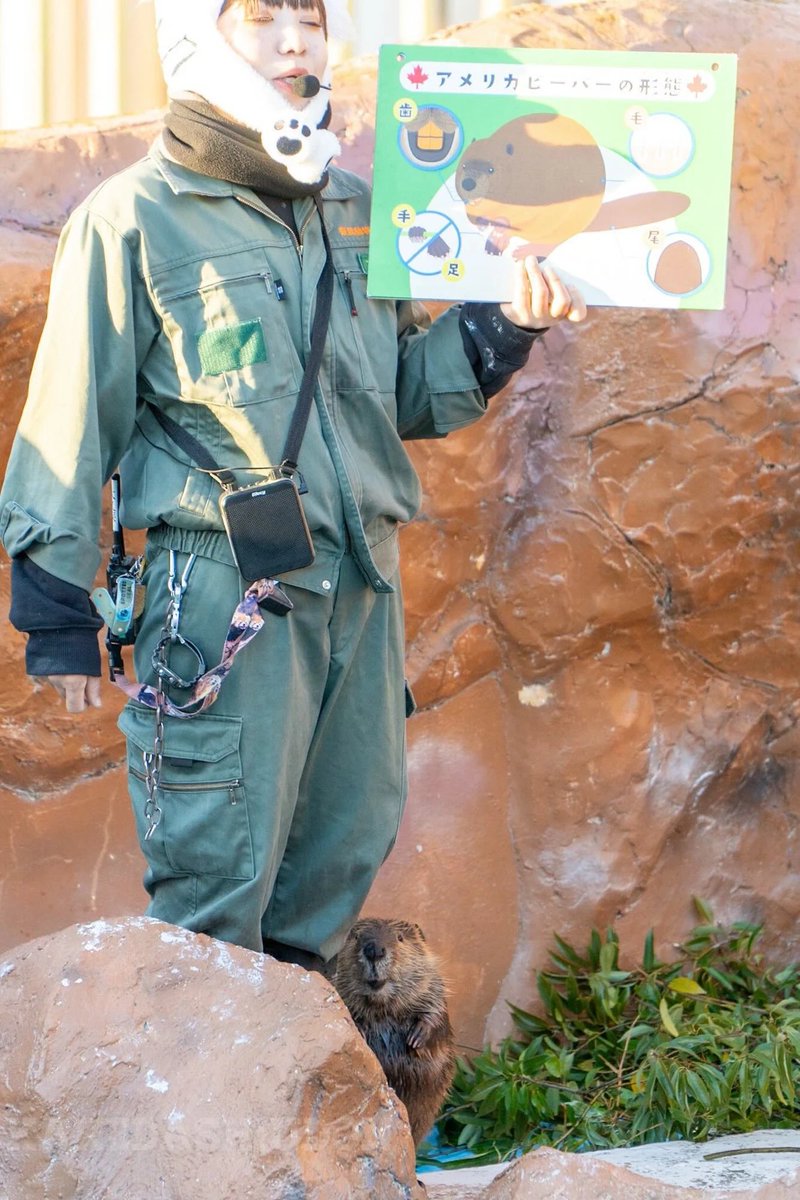 はなまるかけだしうどん tweet media