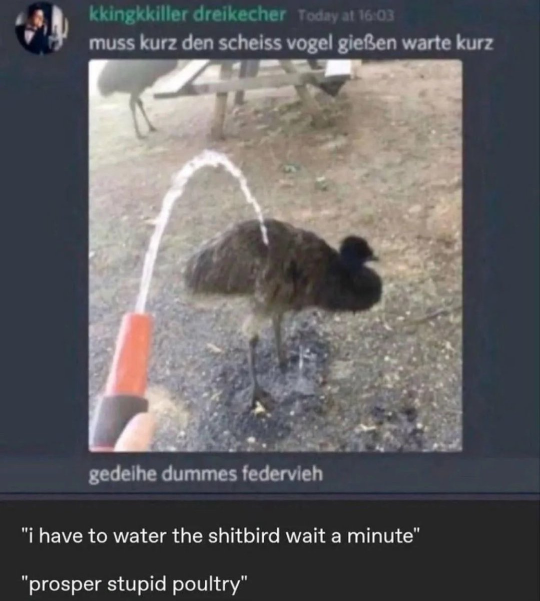 Lucas Meyer tweet media