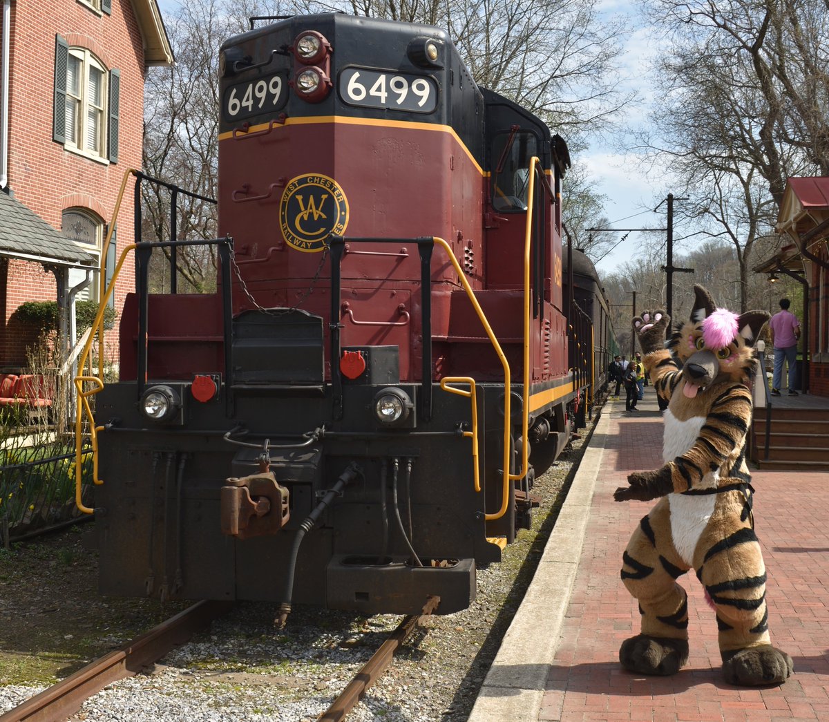 Jax Hyena / Glacier Husky 🔜 AC tweet media