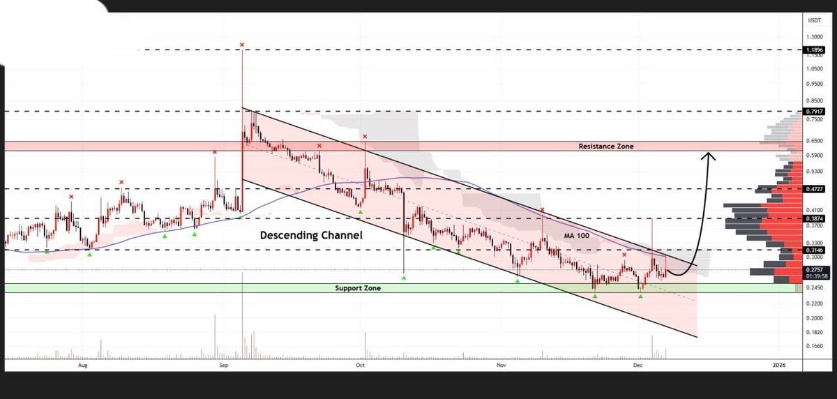 Pr0fitconscious's tweet image. $RED/USDT #buy and hold big Move soon 🤑🚀