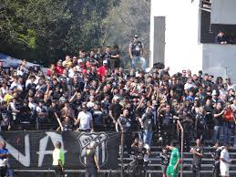 São José City tweet media