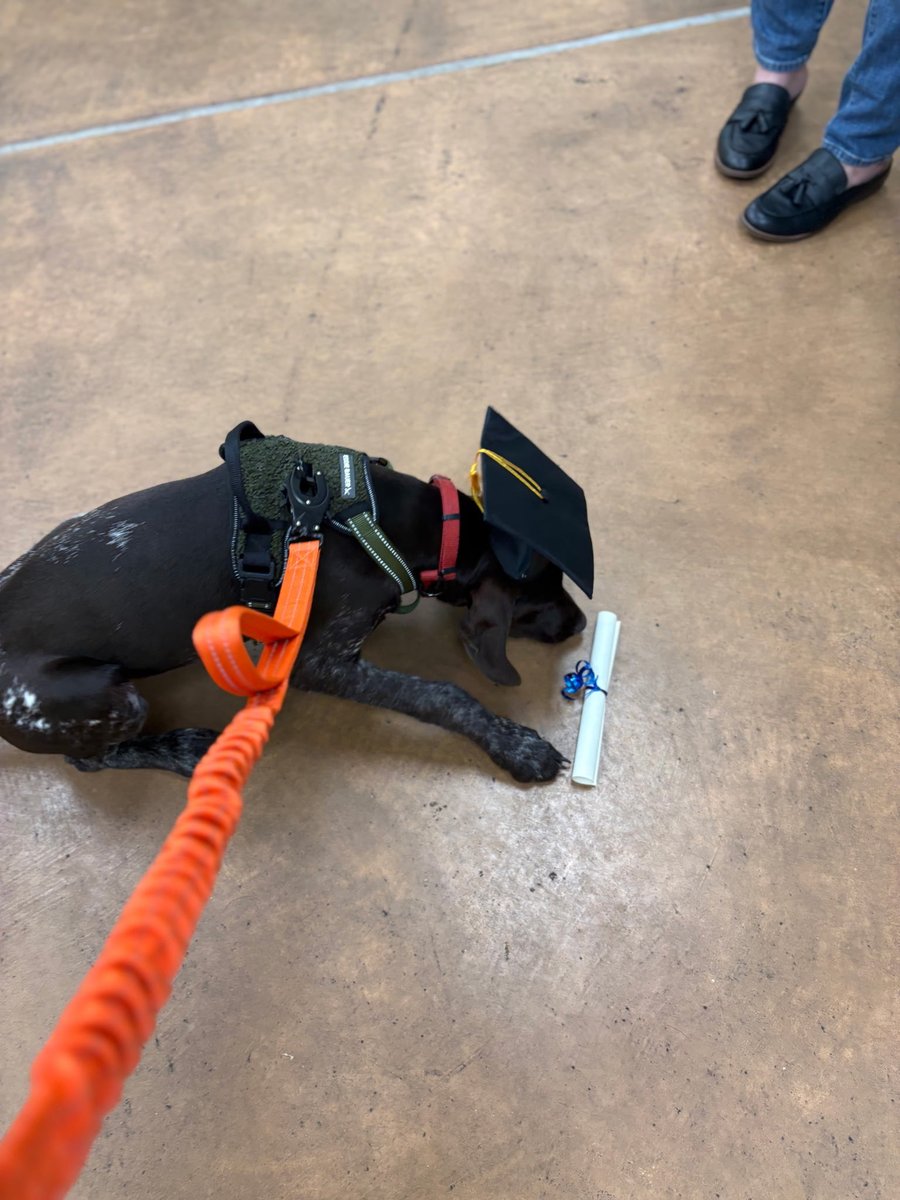Happy Tango Tuesday! 🐾 Celebrating our graduate, Tango, who graduated Summa Puppy Laude. 🎉🥳🎓