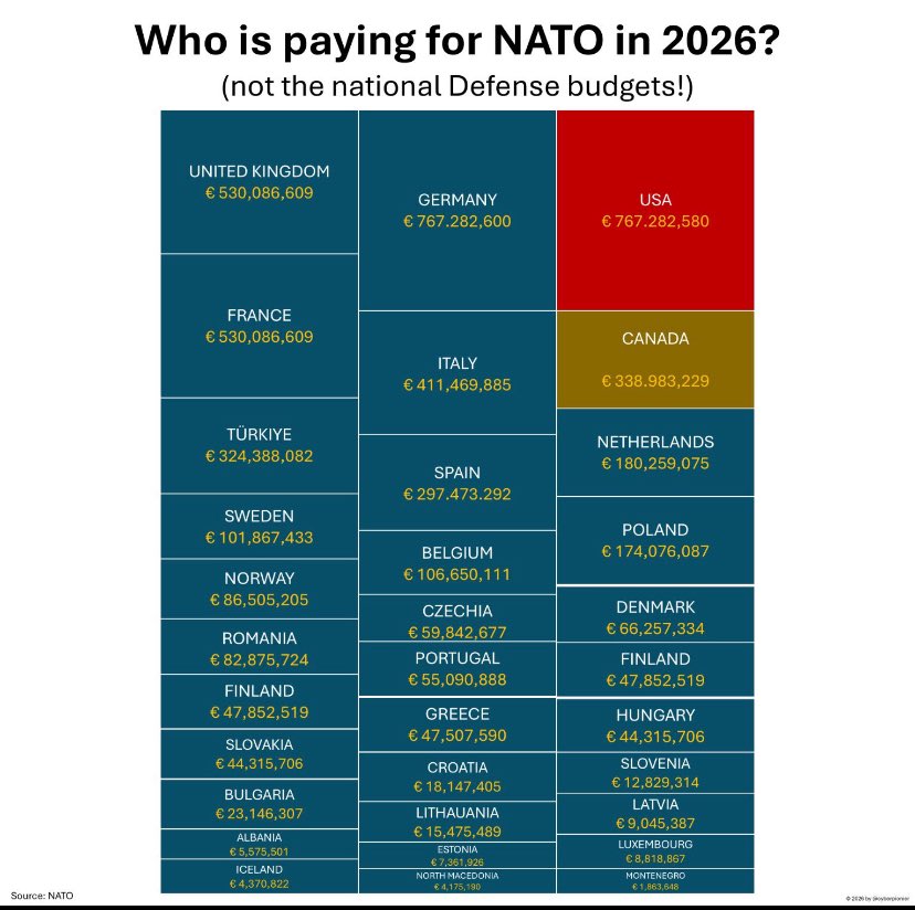 Mikey 🇮🇹 tweet media