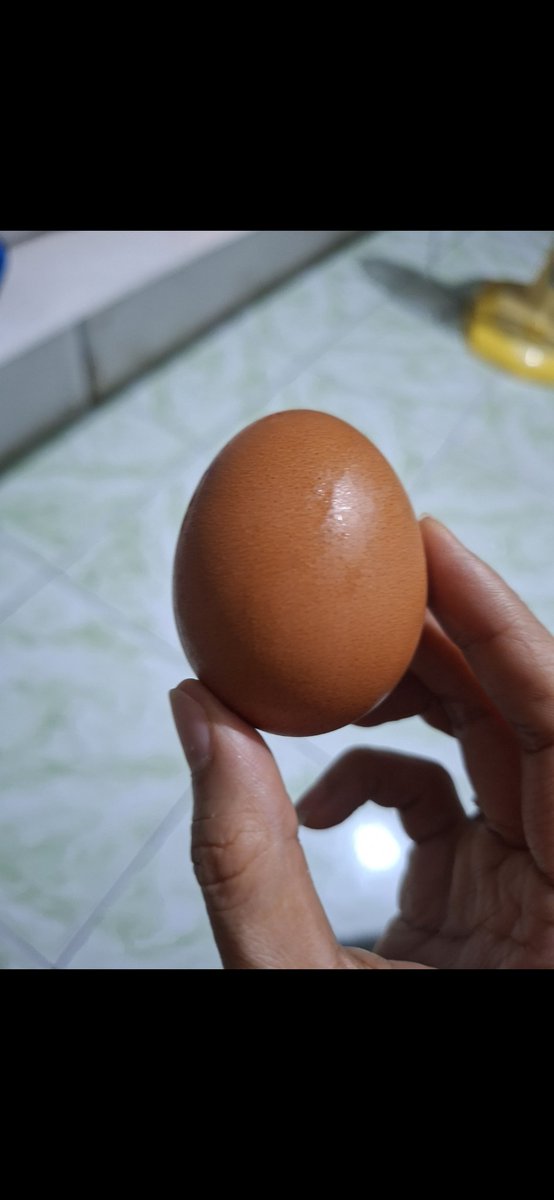 Sara Kwong🌵 tweet media