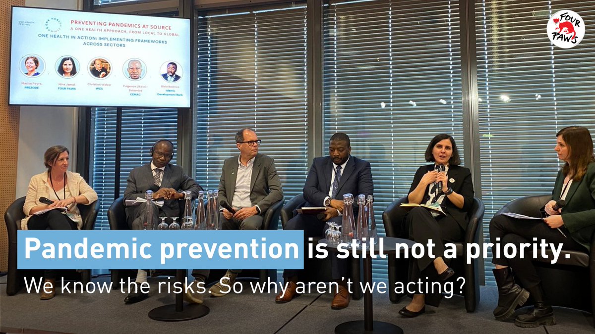 FOUR PAWS International tweet media