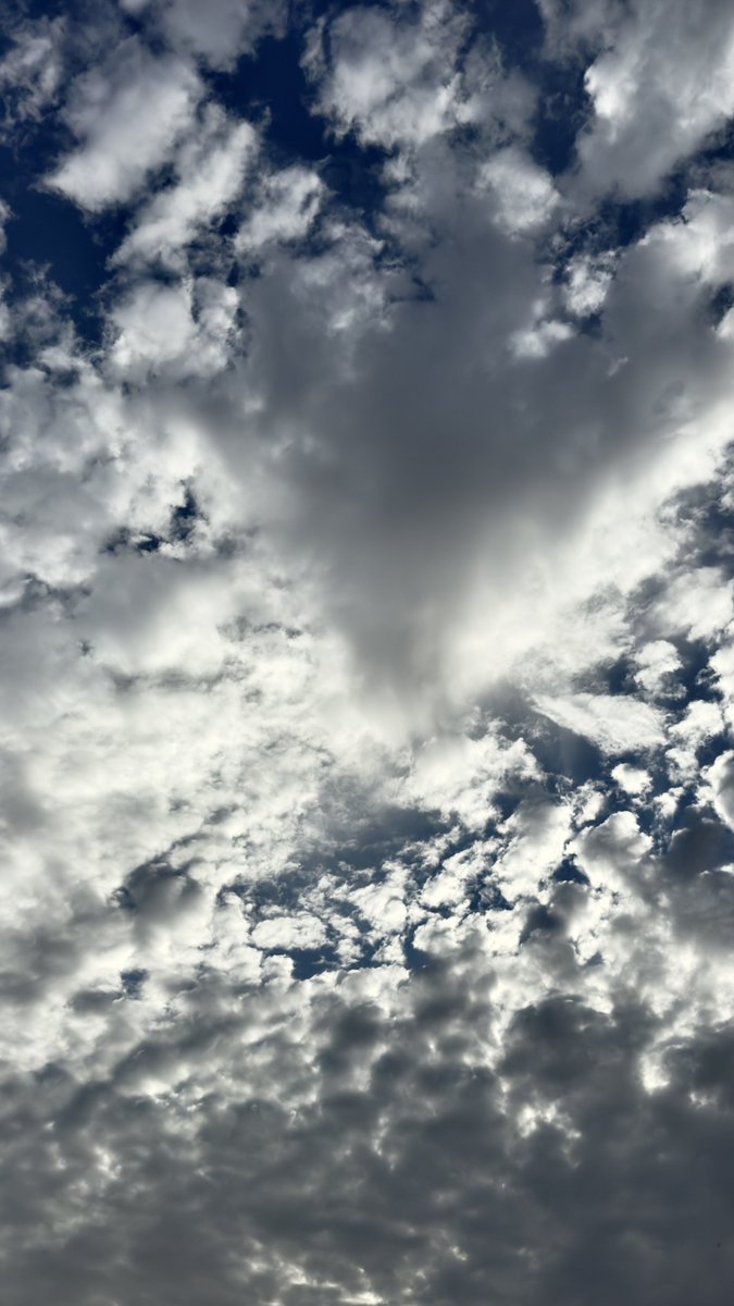 يوسف الغامدي ☂︎ tweet media