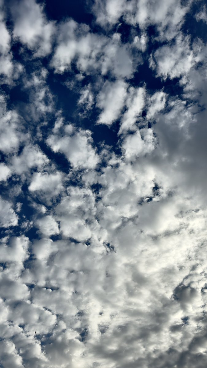 يوسف الغامدي ☂︎ tweet media