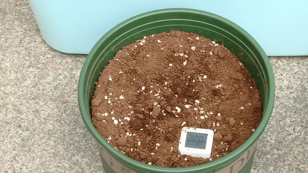 Charlotte tweet media