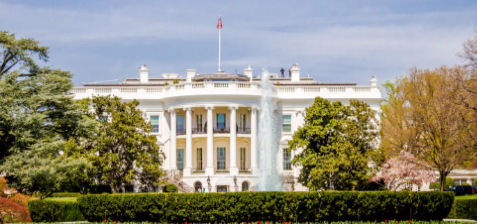 Media Express tweet media