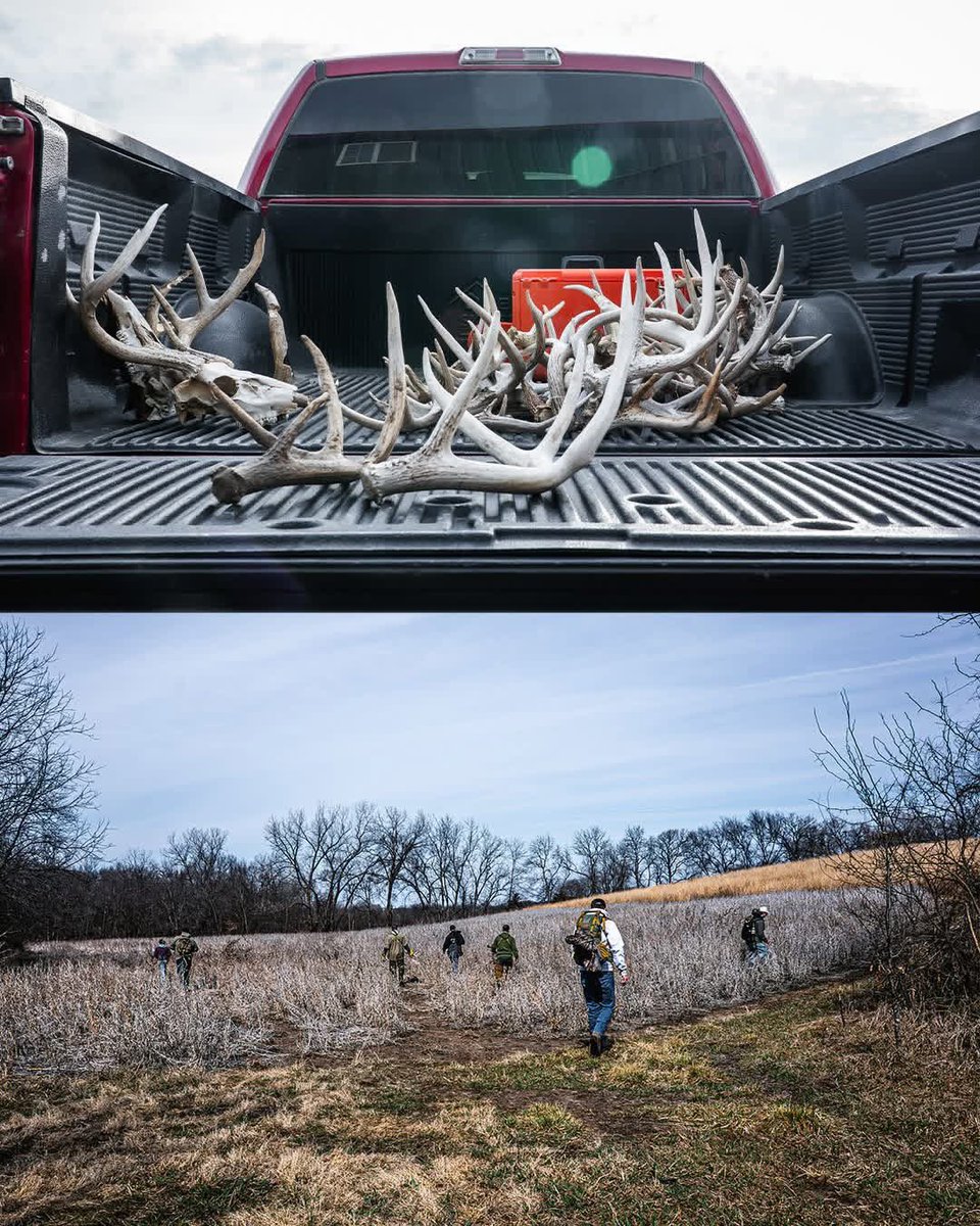 Morrell®️ Targets tweet media