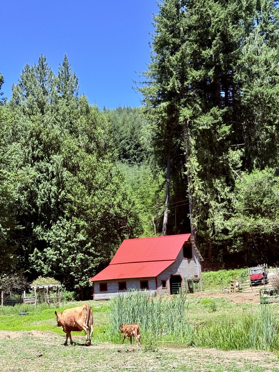 Dale Stark tweet media