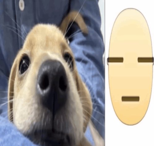 Mariah ⁴⁴ ⁸¹ 🍉 tweet media