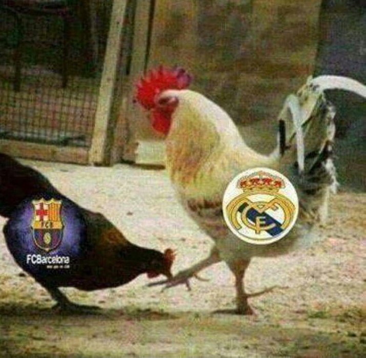 Naweh’s Media tweet media