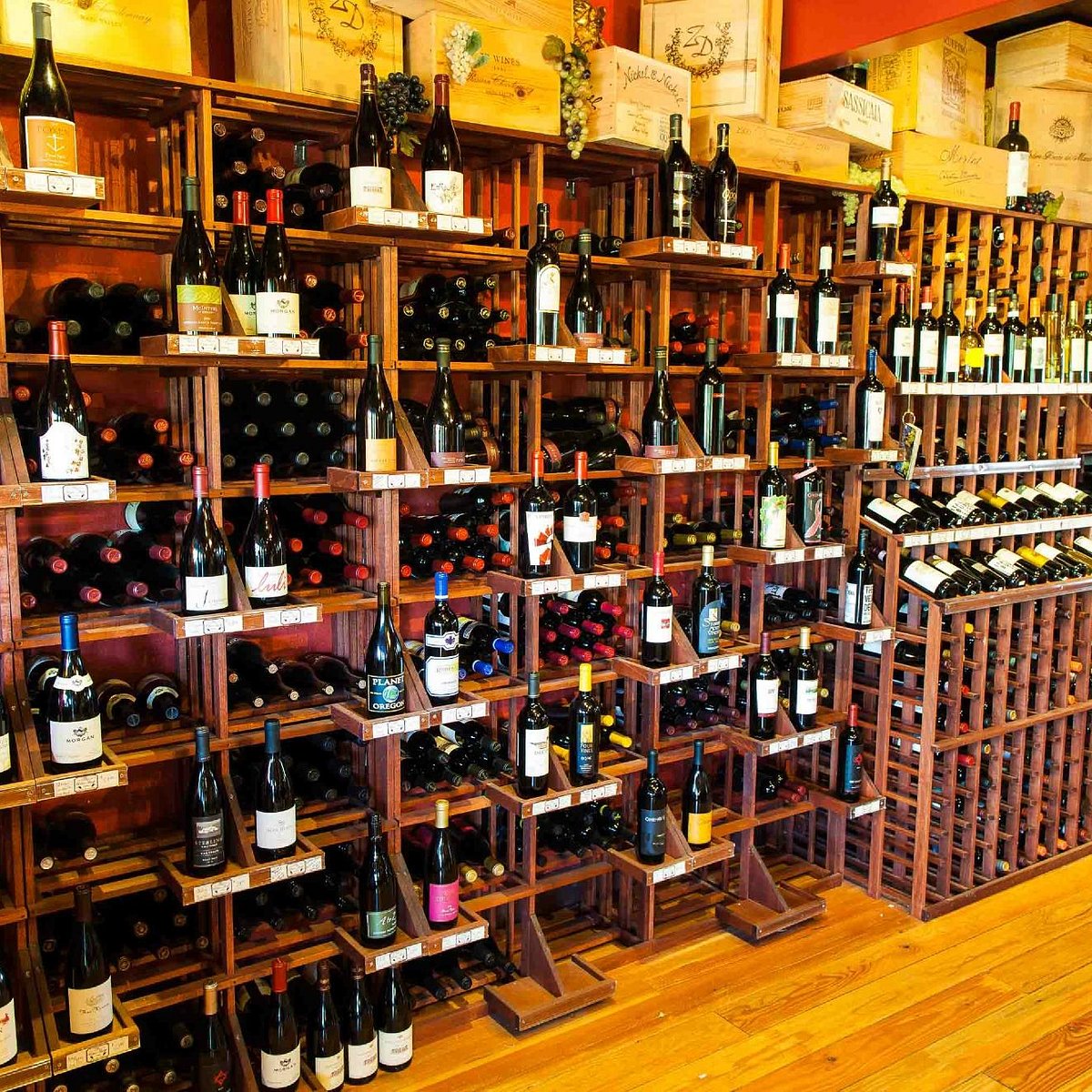 𝐒𝐀𝐑𝐏𝐀𝐍𝐂𝐇🦁 tweet media