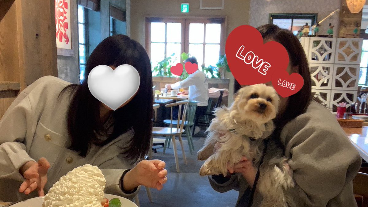 週末は楽しいお友だちと過ごせてハピだった❣️犬OKなカフェに連れて行ってもらった🚘🥞