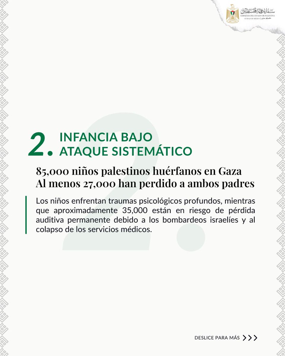 Embajada del Estado de Palestina en México tweet media