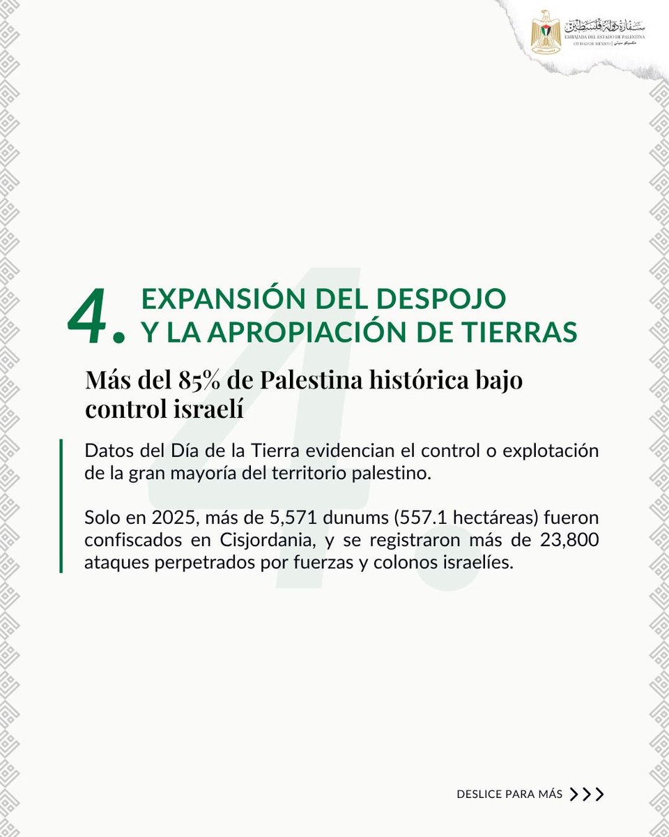 Embajada del Estado de Palestina en México tweet media