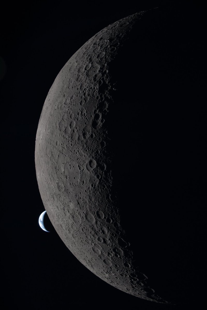 Saganism tweet media