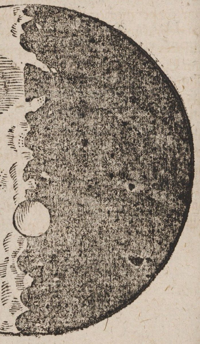 Saganism tweet media