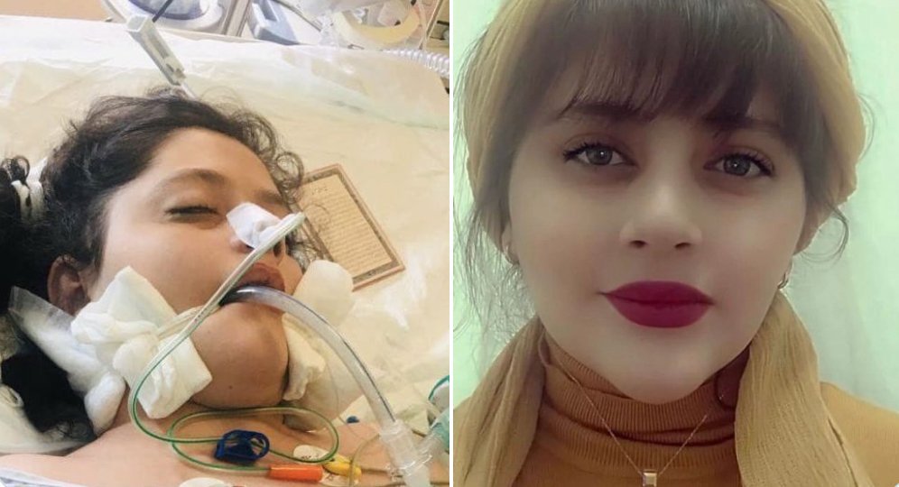 Border Collie (בורדר קולי) tweet media