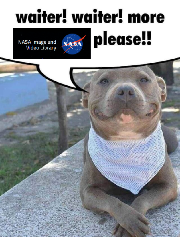 Reddit Lies tweet media